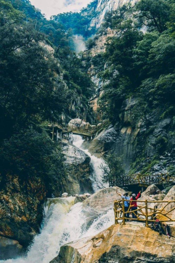 家长必看的“神兽”出笼指南